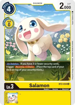 Salamon 「BT2-034」「EN」