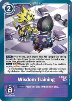 Wisdom Training 「P-108」「EN」