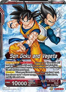 Son Goku and Vegeta 「BT6-001」「EN」