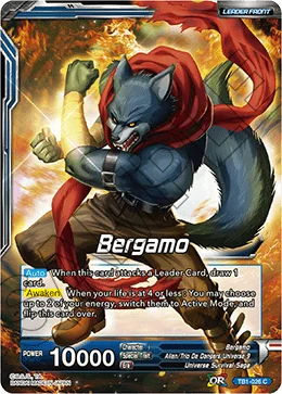 Bergamo 「TB1-026」「EN」