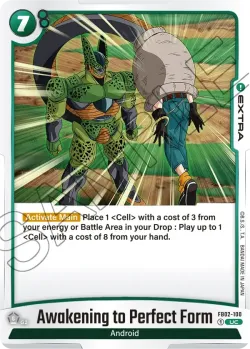 Awakening to Perfect Form 「FB02-100」「EN」