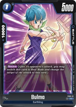 Bulma 「FS02-12」「EN」