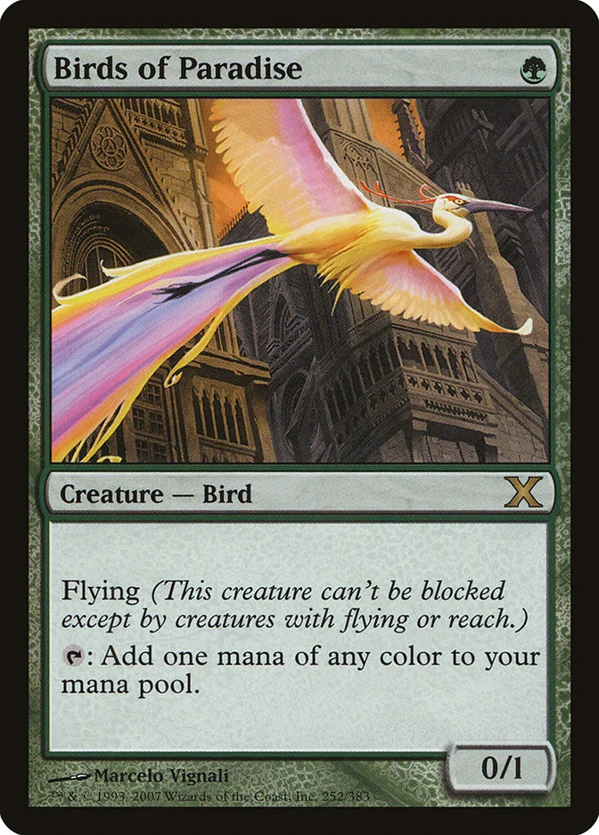 Birds of Paradise 「10E/252」「EN」