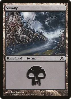 Swamp 「10E/373」「EN」