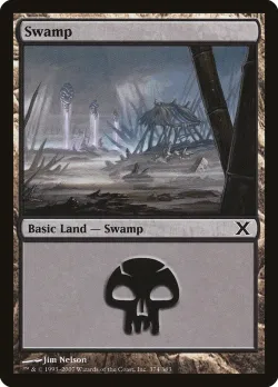 Swamp 「10E/374」「EN」