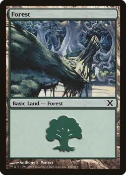Forest 「10E/380」「EN」