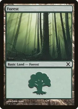 Forest 「10E/381」「EN」