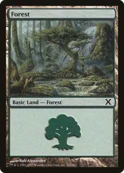 Forest 「10E/382」「EN」