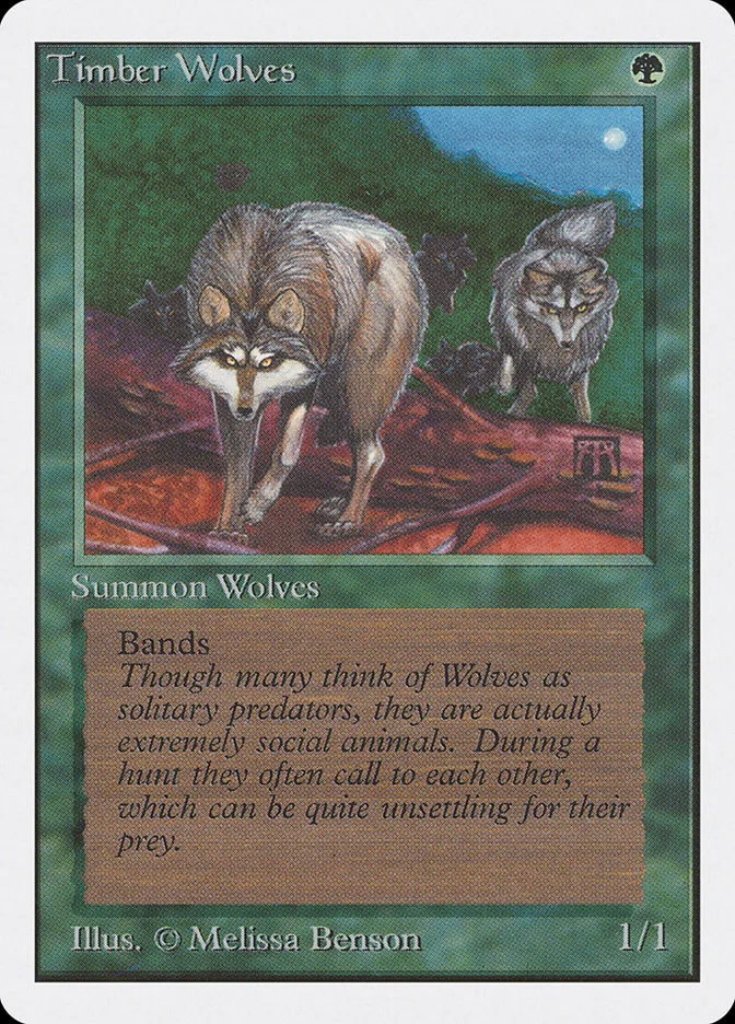 Timber Wolves 「2ED/220」「EN」