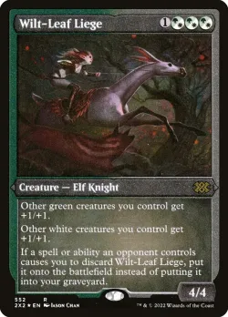 Wilt-Leaf Liege 「2X2/552」「EN」