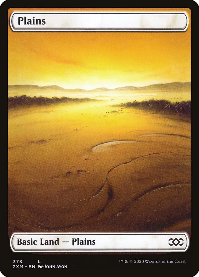 Plains 「2XM/373」「EN」