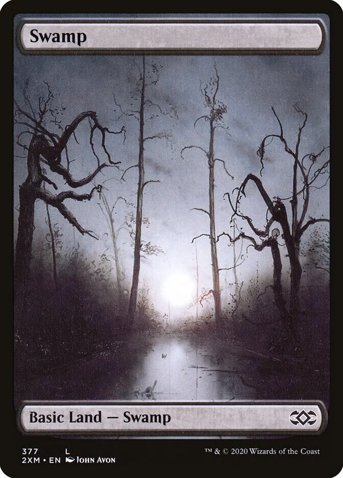 Swamp 「2XM/377」「EN」
