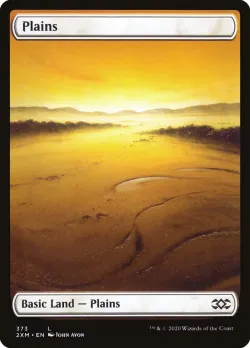 Plains 「2XM/373」「EN」