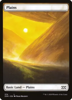 Plains 「2XM/374」「EN」