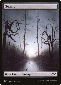 Swamp 「2XM/377」「EN」