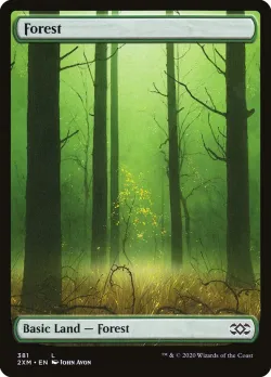 Forest 「2XM/381」「EN」