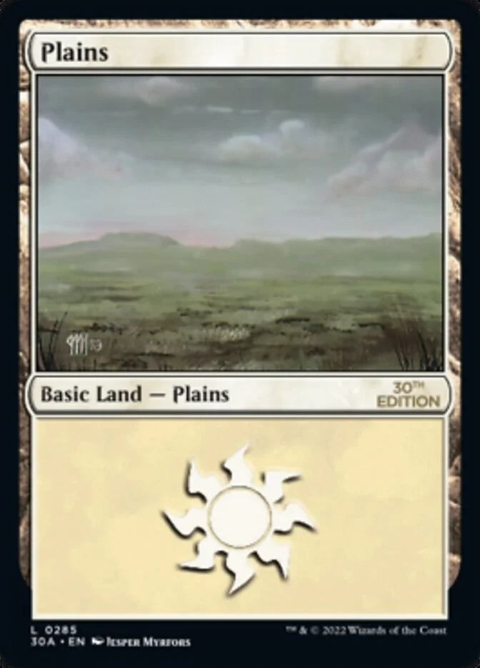 Plains 「30A/285」「EN」