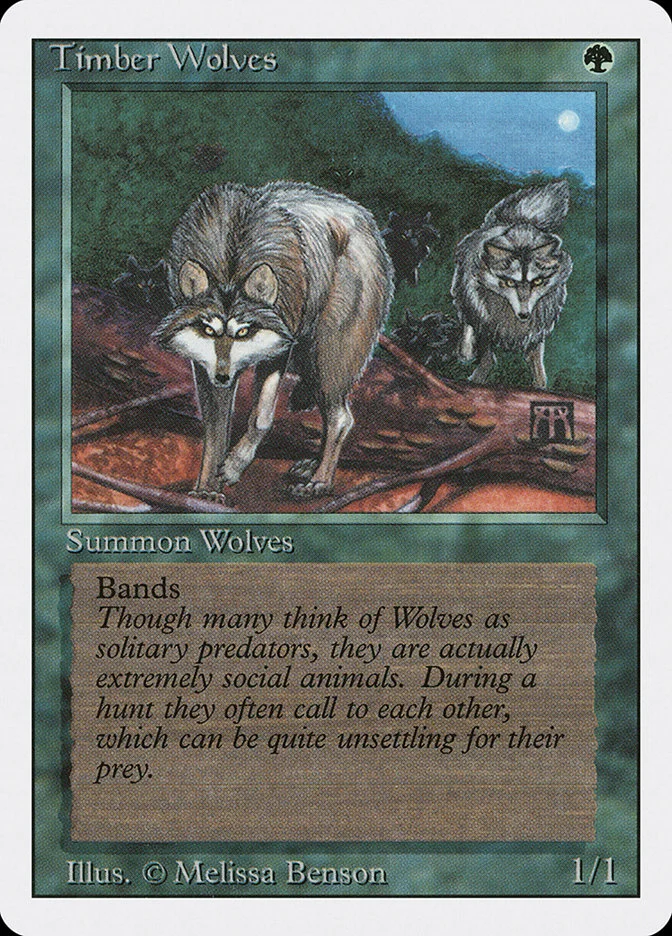 Timber Wolves 「3ED/219」「EN」