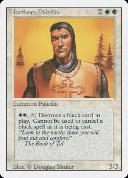 Northern Paladin #29 · Magic: The Gathering