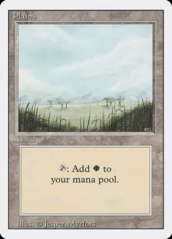 Plains 「3ED/293」「EN」