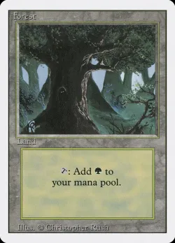 Forest 「3ED/306」「EN」