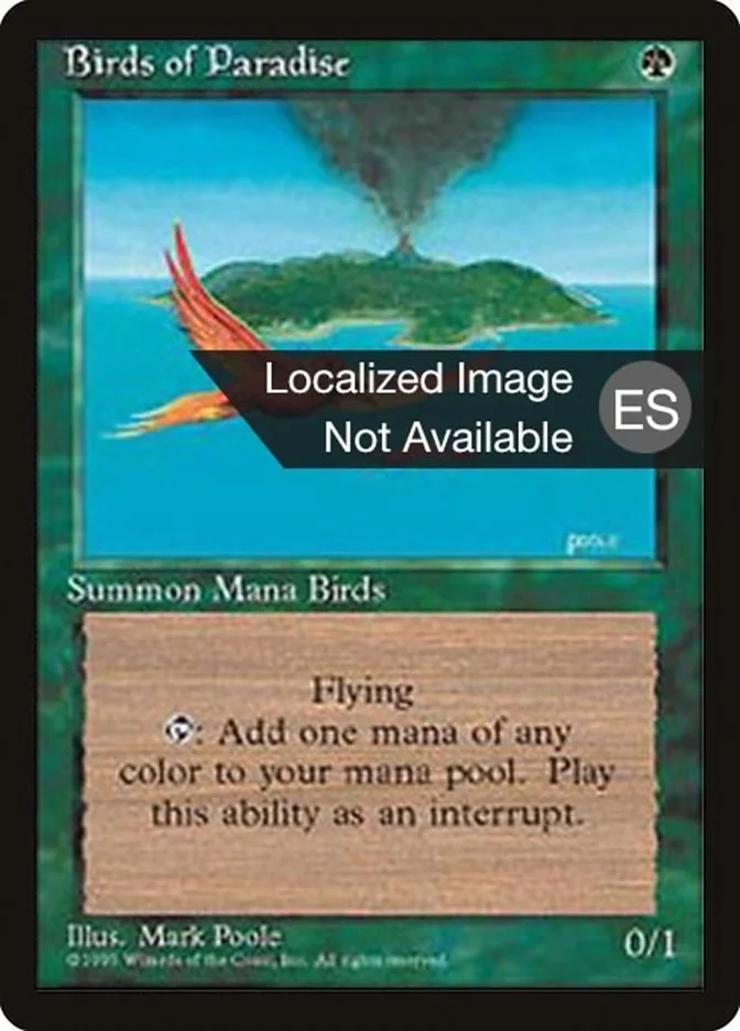 Birds of Paradise 「4BB/234」「EN」