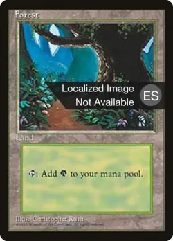 Forest 「4BB/377」「EN」