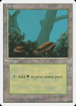 Forest 「4ED/376」「EN」