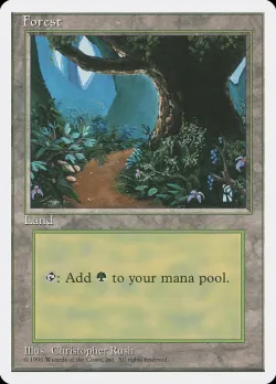 Forest 「4ED/377」「EN」