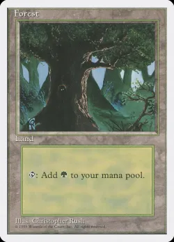 Forest 「4ED/378」「EN」