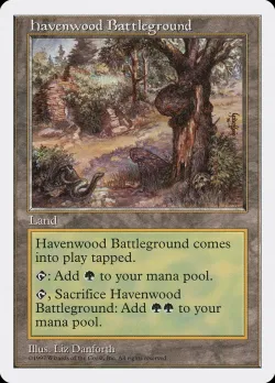 Havenwood Battleground 「5ED/417」「EN」