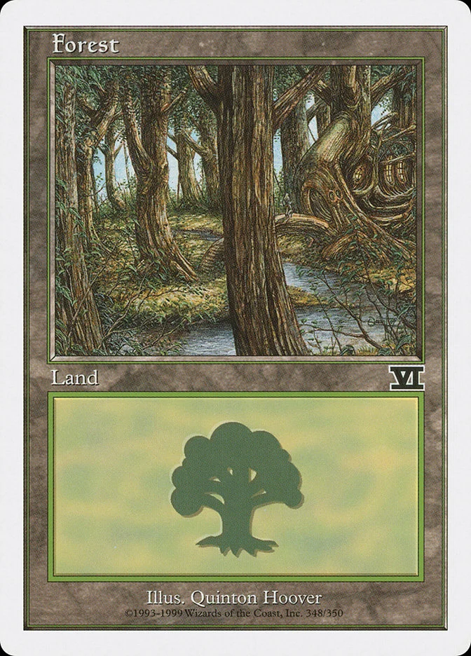 Forest 「6ED/348」「EN」
