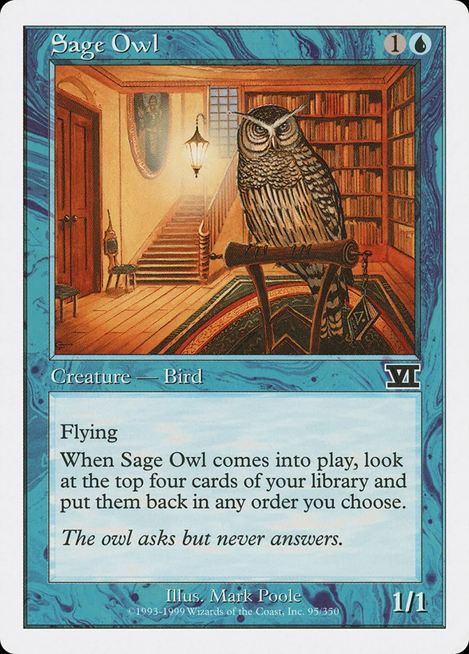 Sage Owl 「6ED/95」「EN」