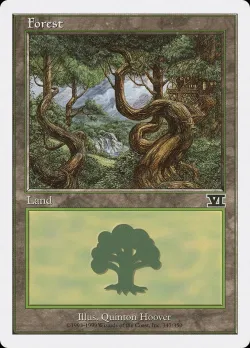 Forest 「6ED/347」「EN」