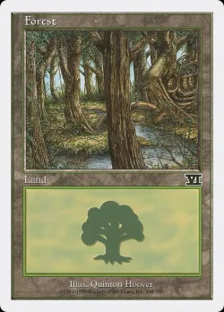 Forest 「6ED/348」「EN」