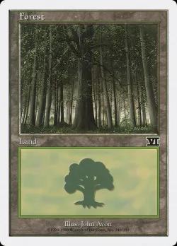 Forest 「6ED/349」「EN」