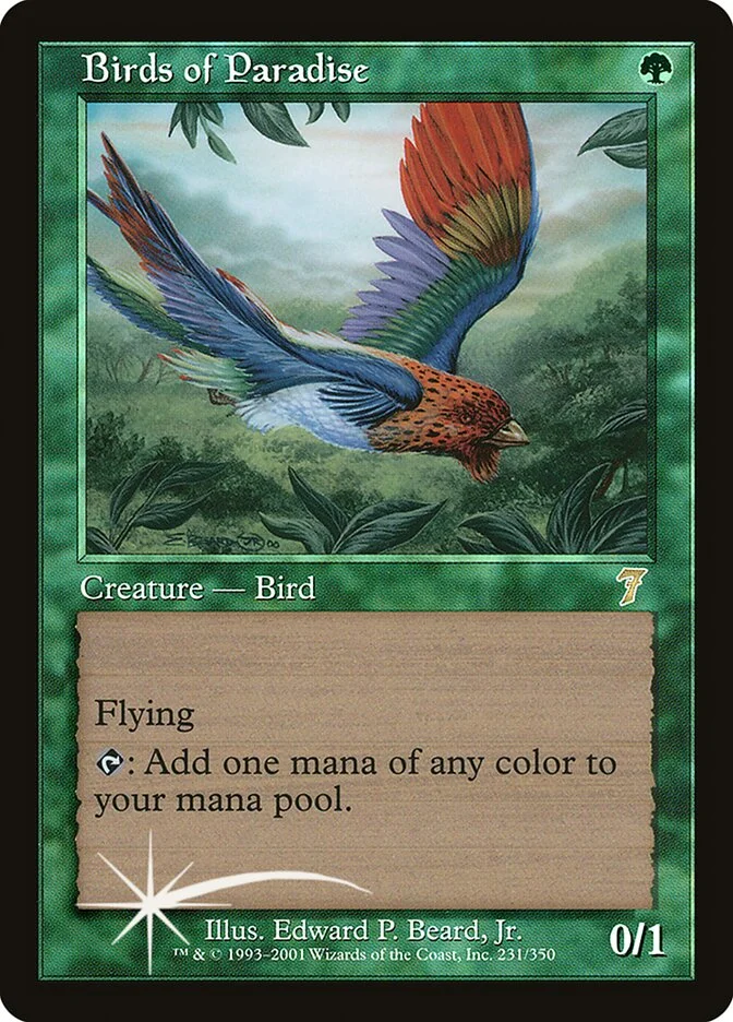 Birds of Paradise 「7ED/231★」「EN」