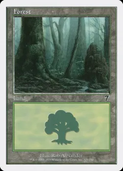Forest 「7ED/329」「EN」