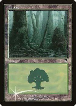 Forest 「7ED/329★」「EN」