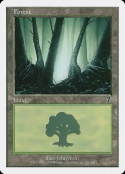 Forest 「7ED/330」「EN」