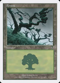 Forest 「7ED/331」「EN」