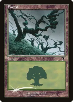 Forest 「7ED/331★」「EN」