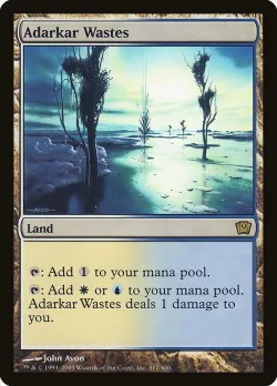 Adarkar Wastes #317★ · Magic: The Gathering