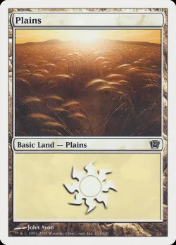 Plains 「9ED/333」「EN」