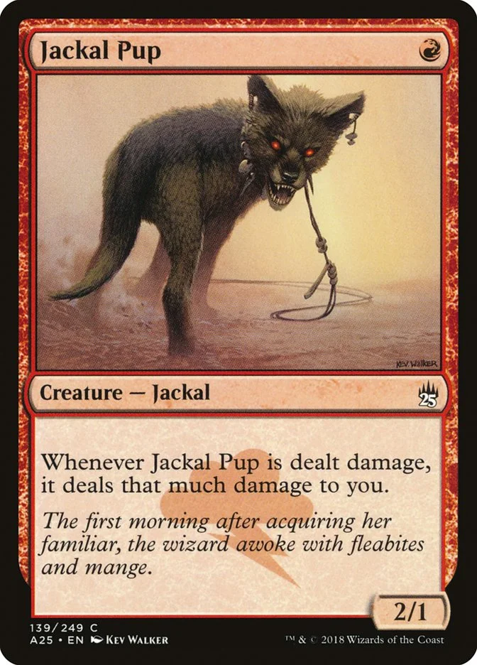 Jackal Pup 「A25/139」「EN」