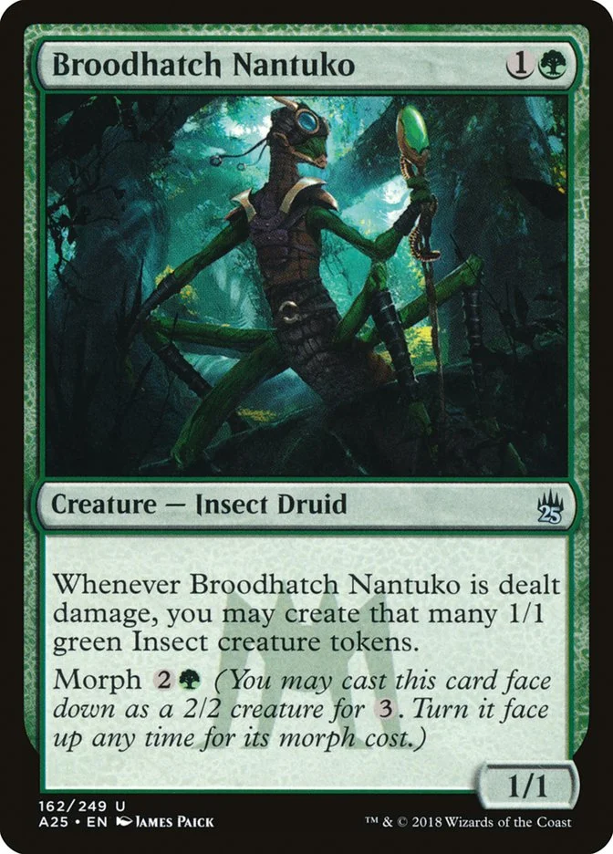 Broodhatch Nantuko 「A25/162」「EN」
