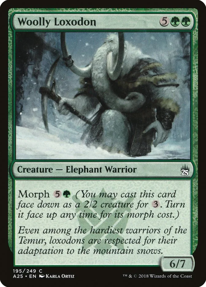 Woolly Loxodon 「A25/195」「EN」