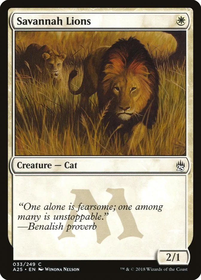 Savannah Lions 「A25/33」「EN」