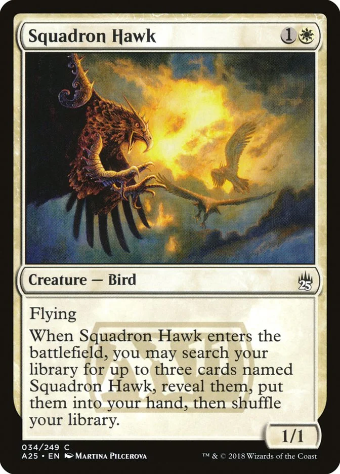 Squadron Hawk 「A25/34」「EN」