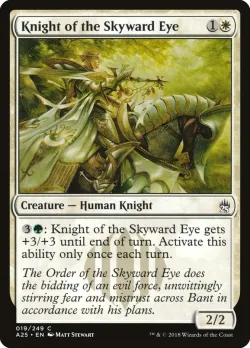 Knight of the Skyward Eye #19 · Magic: The Gathering